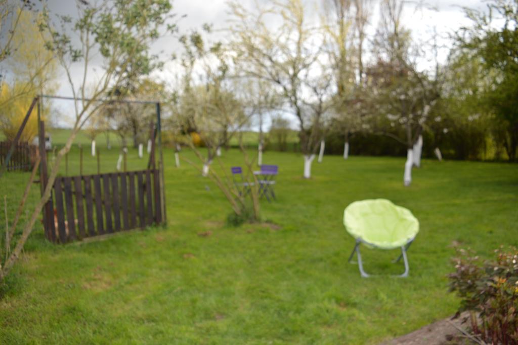 Au Passage Des Grues Bed and Breakfast Drosnay Buitenkant foto
