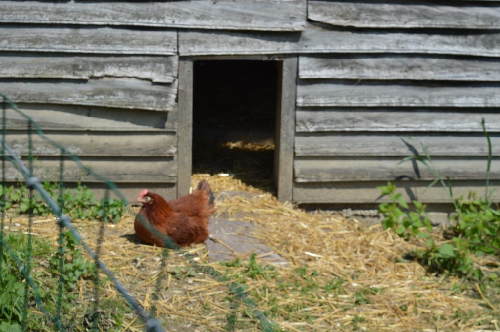 Au Passage Des Grues Bed and Breakfast Drosnay Buitenkant foto