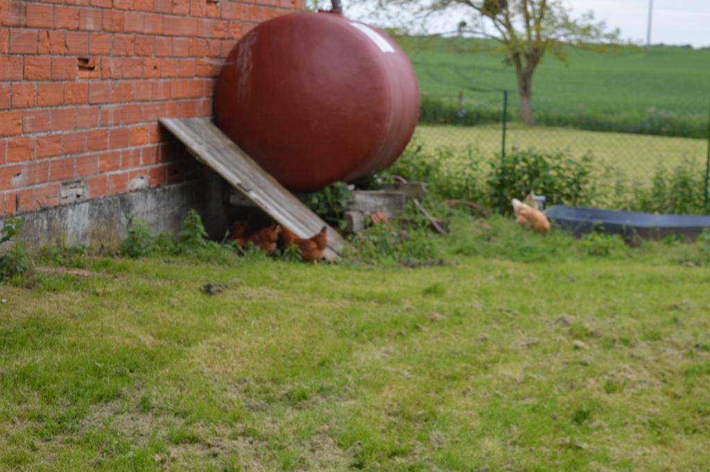 Au Passage Des Grues Bed and Breakfast Drosnay Buitenkant foto